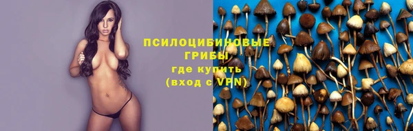 прущие крисы Аркадак