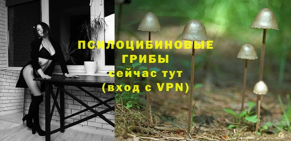 прущие крисы Аркадак