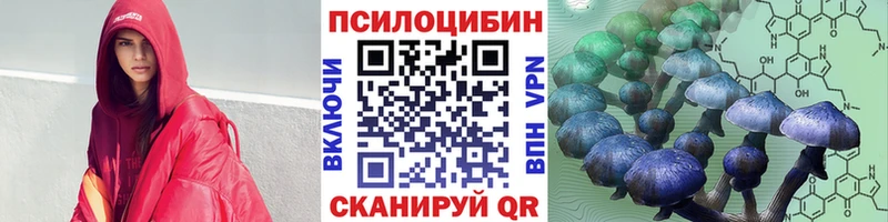 где купить наркоту  Почеп  Галлюциногенные грибы Cubensis 
